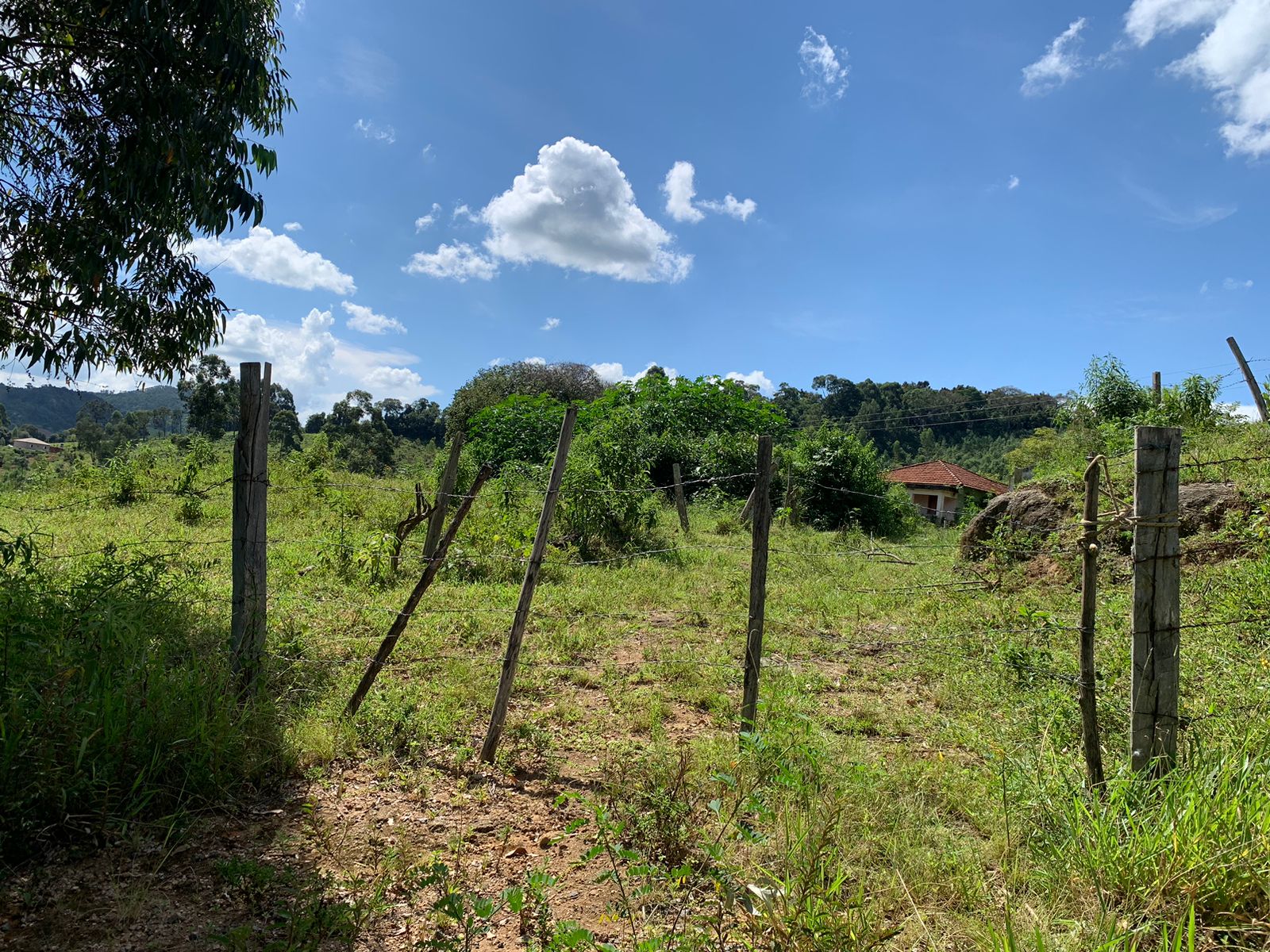 Sítio a venda no município de Toledo-MG. Localizado a 10 km da cidade | Código: 1080