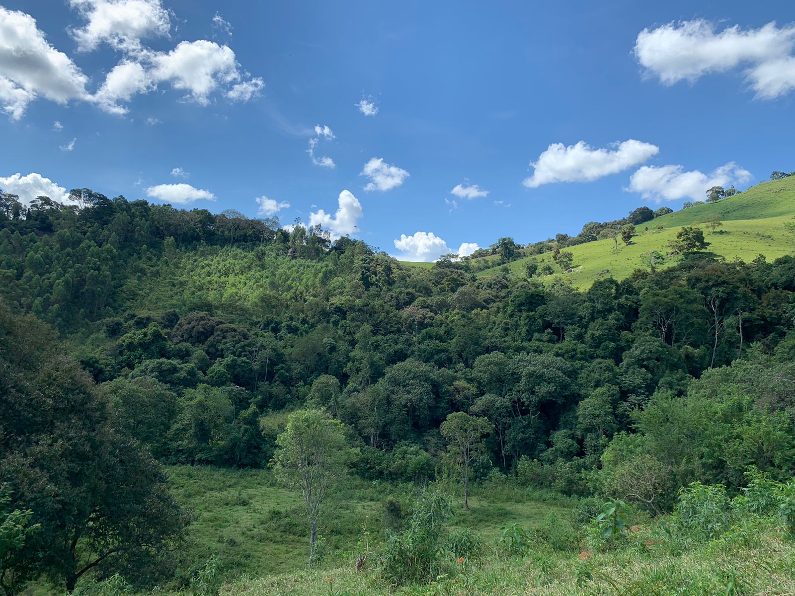 Sítio a venda no município de Toledo-MG. Localizado a 10 km da cidade | Código: 1080