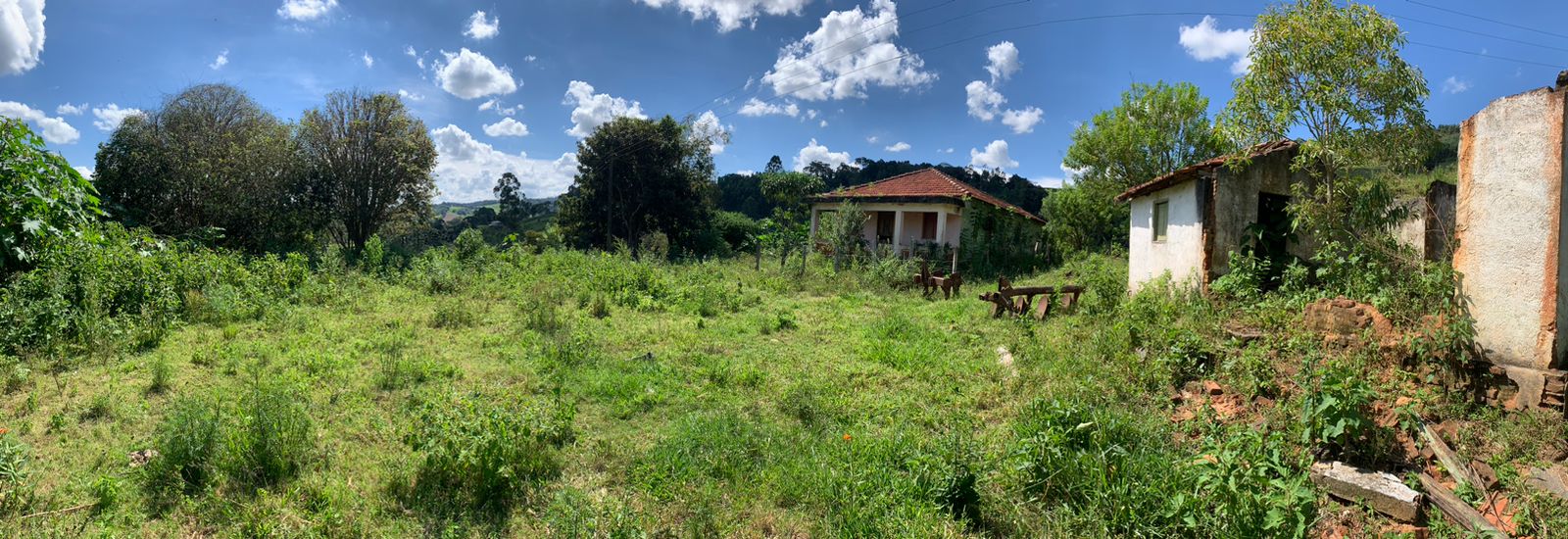 Sítio a venda no município de Toledo-MG. Localizado a 10 km da cidade | Código: 1080