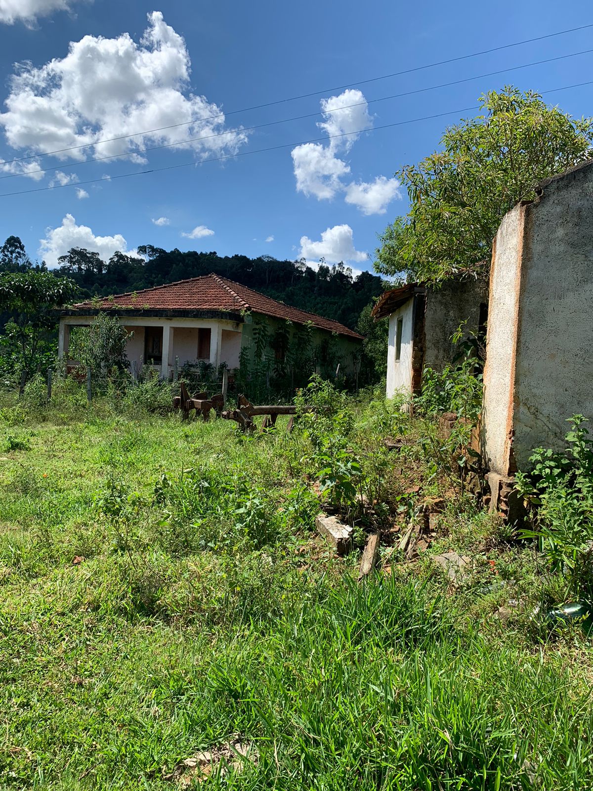 Sítio a venda no município de Toledo-MG. Localizado a 10 km da cidade | Código: 1080