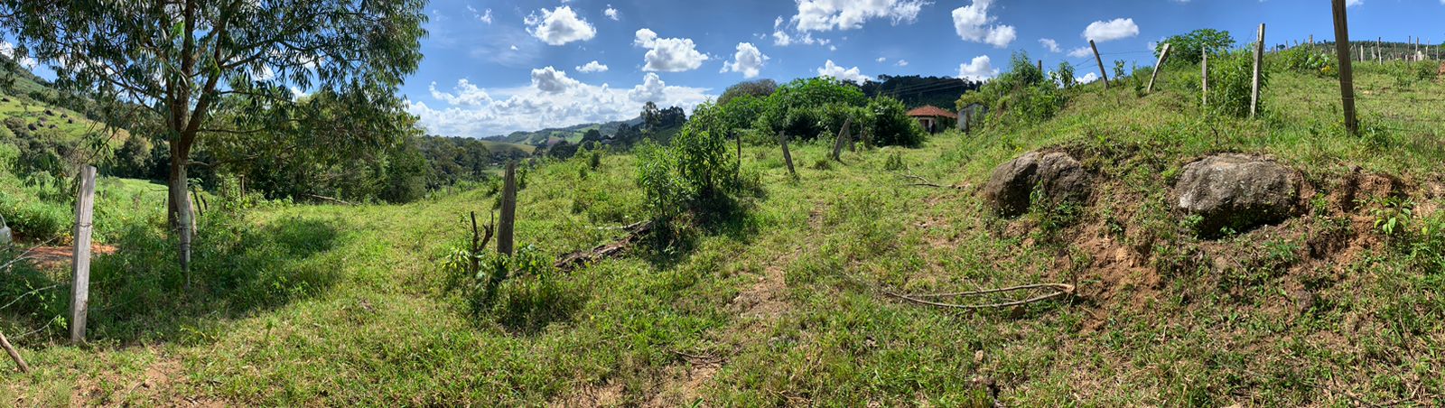 Sítio a venda no município de Toledo-MG. Localizado a 10 km da cidade | Código: 1080