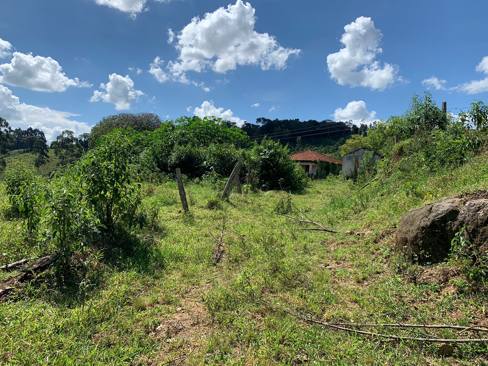 Sítio a venda no município de Toledo-MG. Localizado a 10 km da cidade | Código: 1080