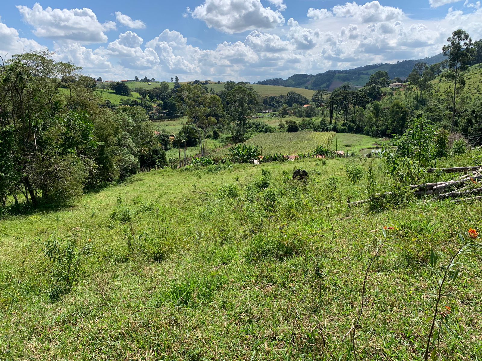 Sítio a venda no município de Toledo-MG. Localizado a 10 km da cidade | Código: 1080