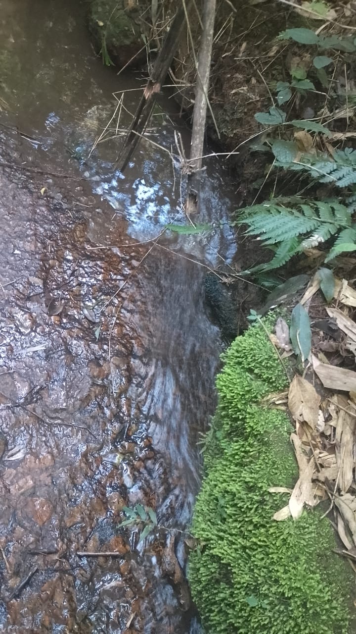 Terreno para formação em sítio. Área 8 hectares - Extrema MG Código 1097