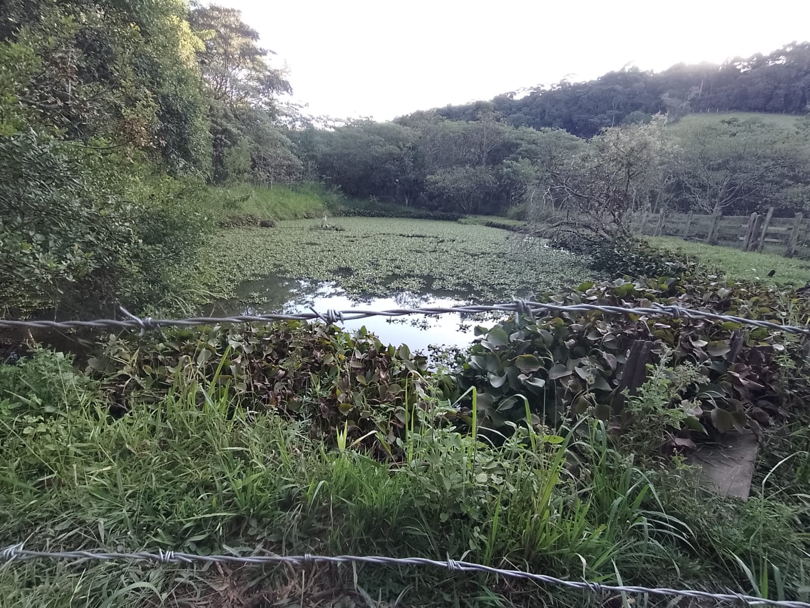 Fazendinha para empreendimento turístico, com varias casas, piscina, nascentes, lago Código 1101