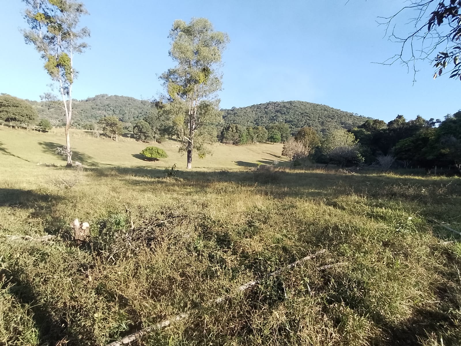 Fazendinha para empreendimento turístico, com varias casas, piscina, nascentes, lago Código 1101