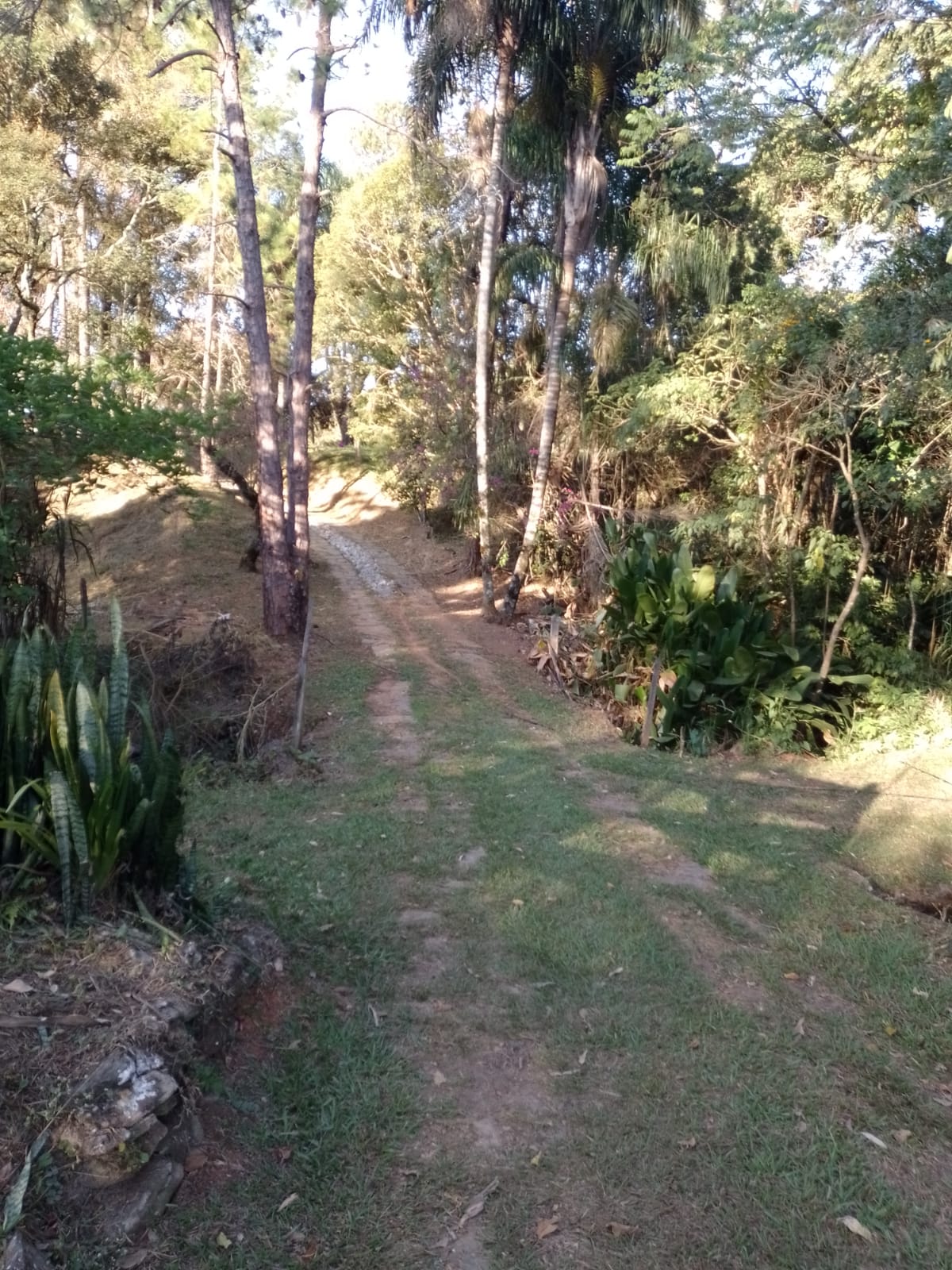 Fazendinha para empreendimento turístico, com varias casas, piscina, nascentes, lago Código 1101