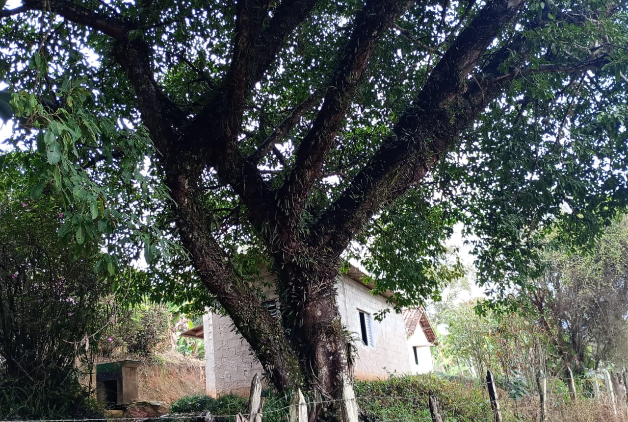 Chácara com casa composta por 3 quartos, sala, cozinha área de 11.400 metros em Extrema MG Código 1106