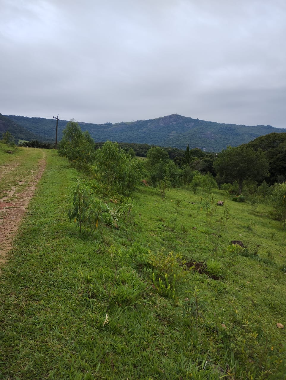 Área industrial, terreno bem localizado em zona industrial | Extrema - MG. Área 12 mil metros