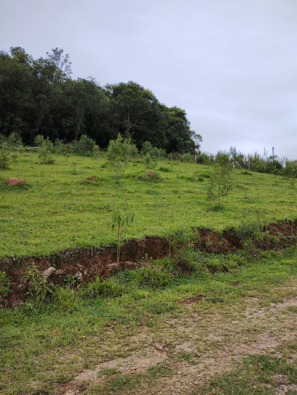 Área industrial, terreno bem localizado em zona industrial | Extrema - MG. Área 12 mil metros