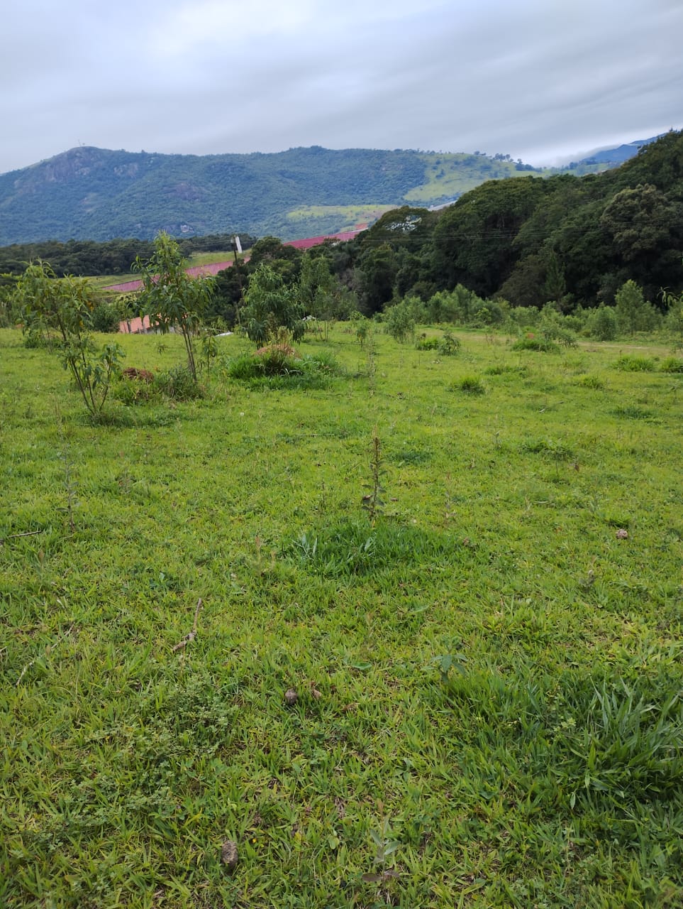 Área industrial, terreno bem localizado em zona industrial | Extrema - MG. Área 12 mil metros