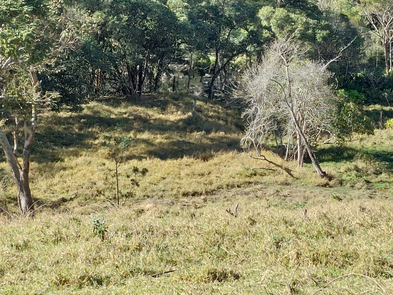 Belíssimo terreno , com rota turística entre os municípios de: Camanducaia, Extrema, Monte verde Código 1124