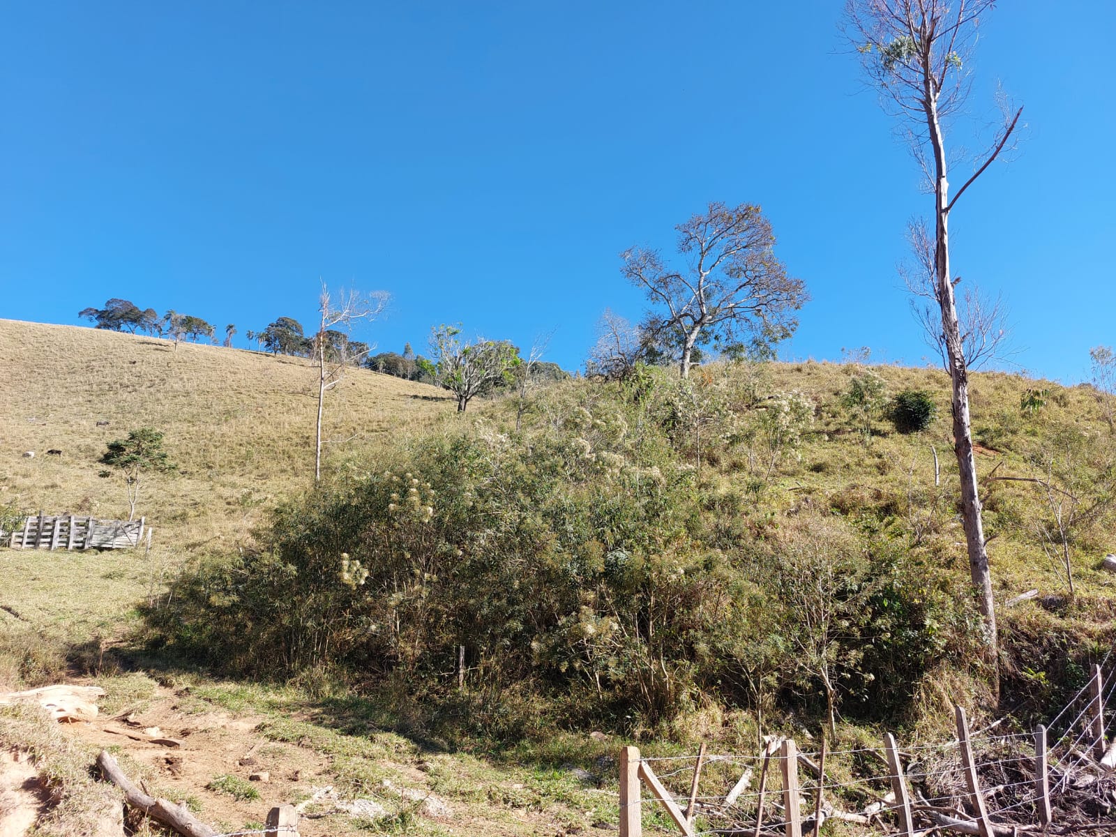 Belíssimo terreno , com rota turística entre os municípios de: Camanducaia, Extrema, Monte verde Código 1124