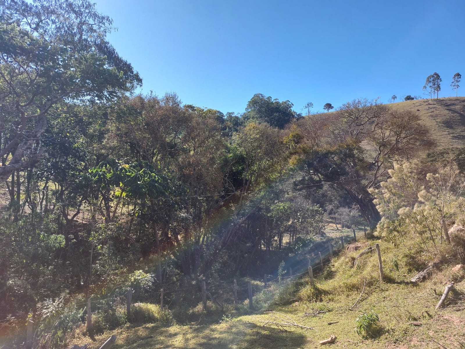 Belíssimo terreno , com rota turística entre os municípios de: Camanducaia, Extrema, Monte verde Código 1124