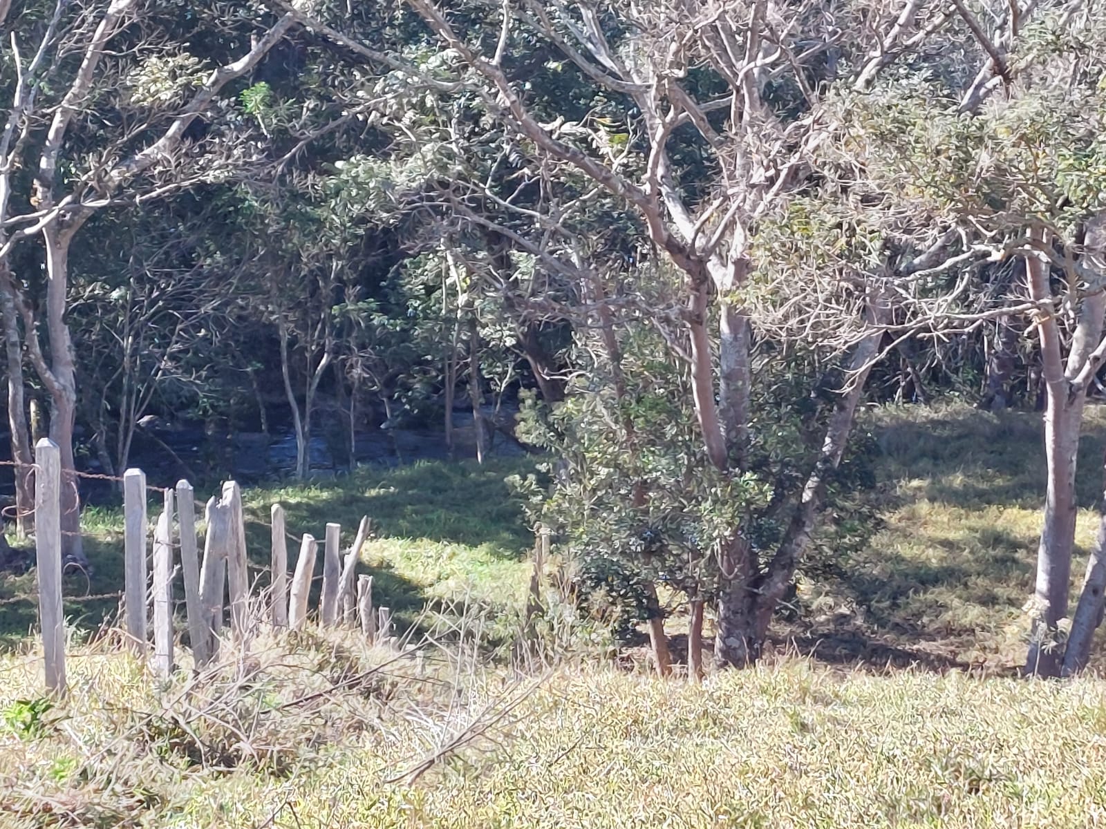 Belíssimo terreno , com rota turística entre os municípios de: Camanducaia, Extrema, Monte verde Código 1124