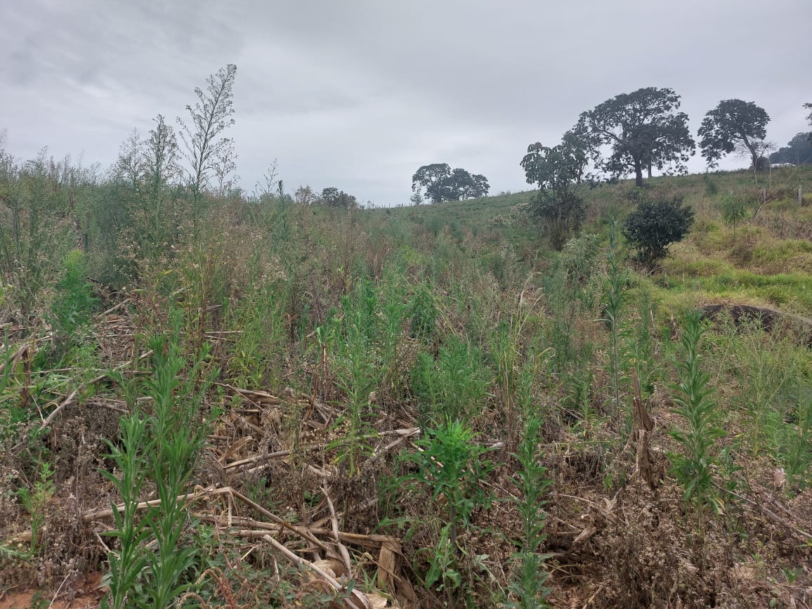 Terreno para Investimento turístico ou casa no campo em Extrema - MG Código 1125