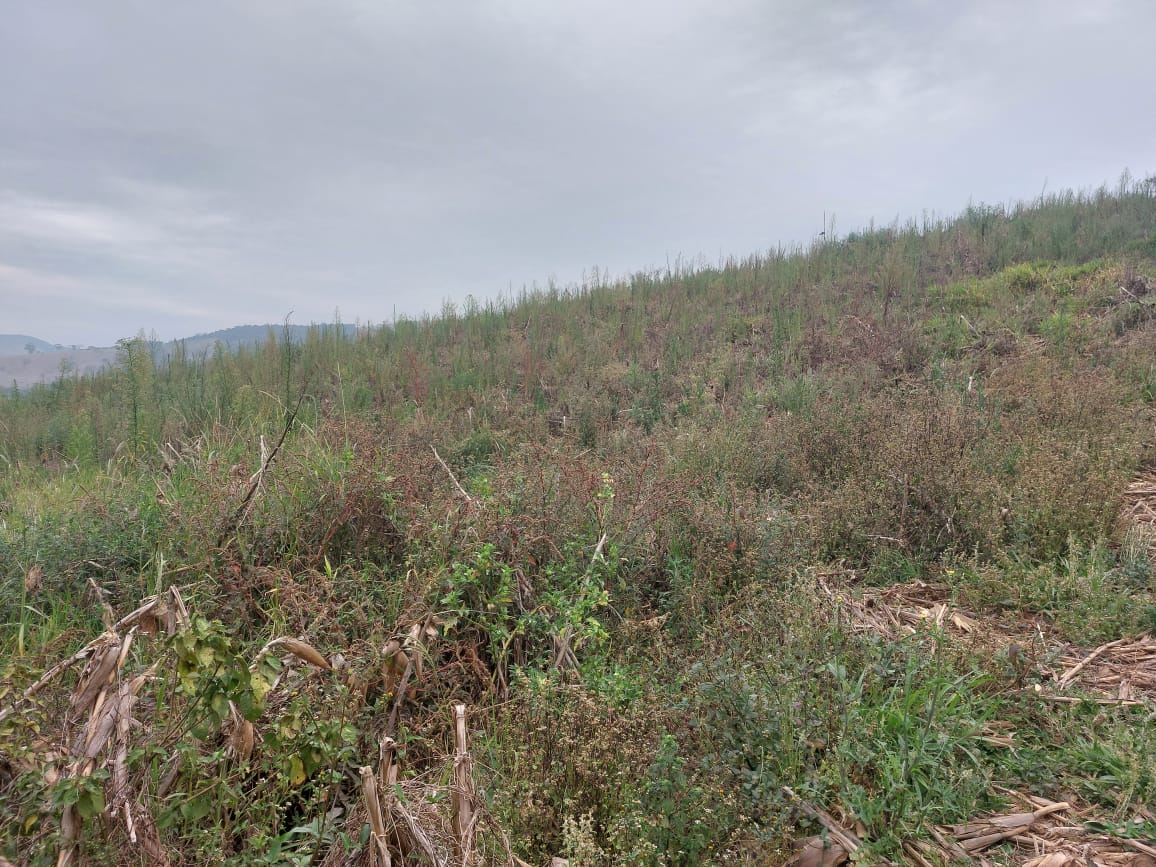 Terreno para Investimento turístico ou casa no campo em Extrema - MG Código 1125