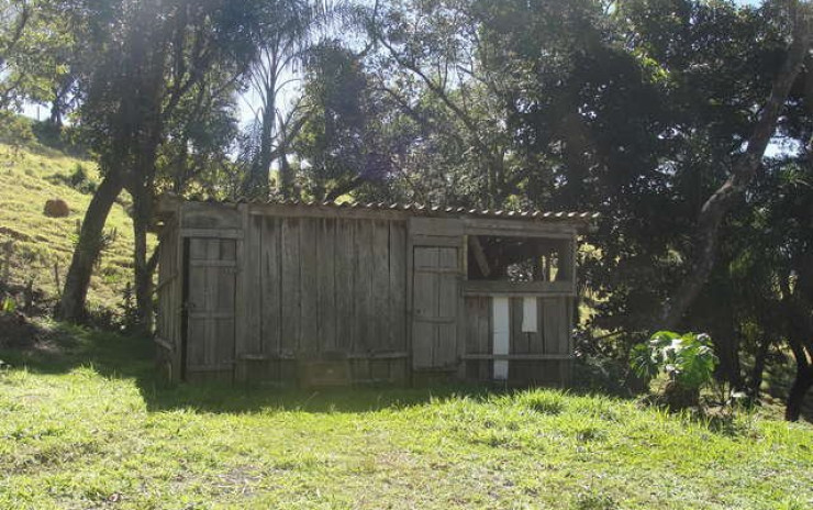 Sítio com casa, piscina, churrasqueira, pomar. localizado em Munhoz | código 256