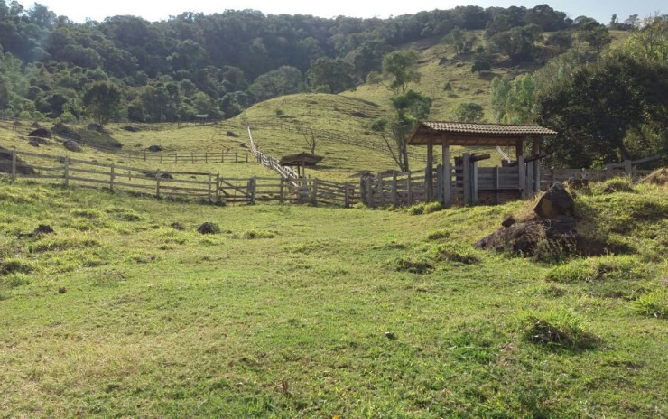 Sítio com, piscina, jacuzzi, baias, + casa de caseiro Localizado em Extrema MG | código 394