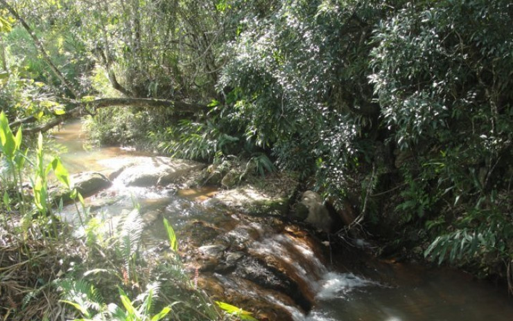 Chácara com rio nos fundos / pequena cachoeirinha . Na cidade de Extrema MG | código 572