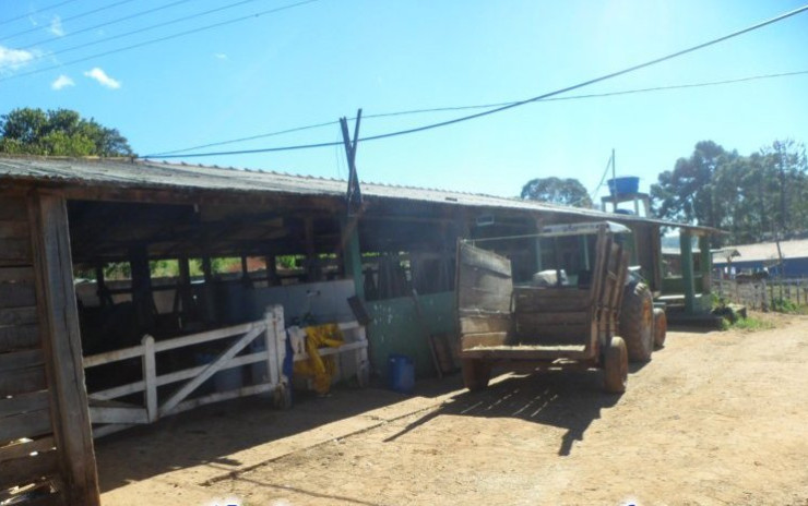 Fazendinha com casa sede, + 3 casas, 3 tanques de peixes, curral | Munhoz - MG | código 602