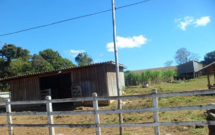 Fazendinha com casa sede, + 3 casas, 3 tanques de peixes, curral | Munhoz - MG | código 602