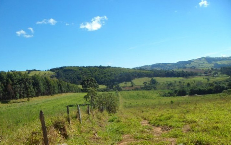 Fazendinha com casa sede, + 3 casas, 3 tanques de peixes, curral | Munhoz - MG | código 602