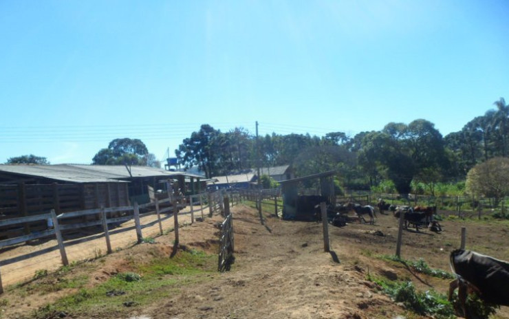 Fazendinha com casa sede, + 3 casas, 3 tanques de peixes, curral | Munhoz - MG | código 602