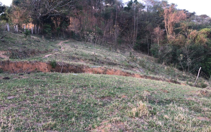 Sítio com agua sustentável nos fundos para toda propriedade | Toledo MG | código 606