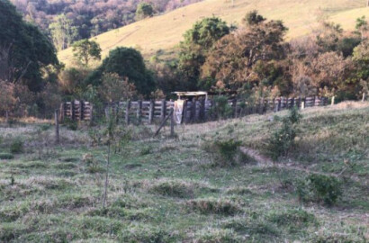 Fazenda com pastagem, curral. lago de peixes. muita água. Itapeva MG | código 608