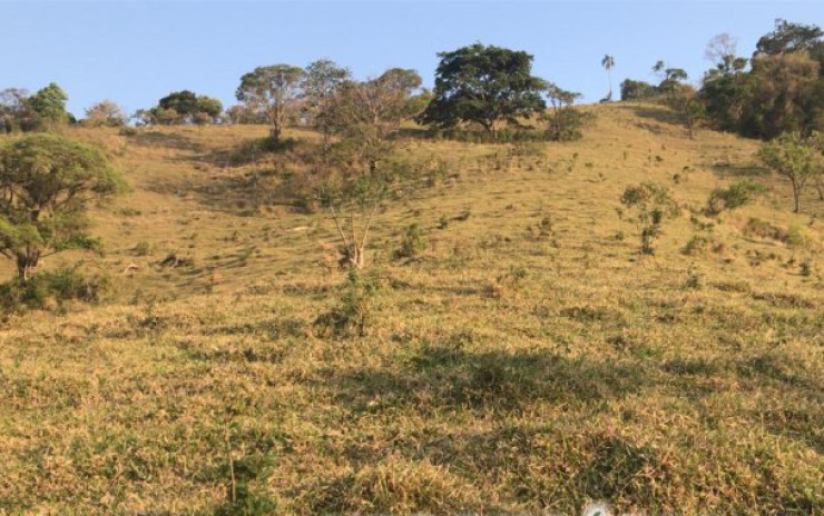 Fazenda com pastagem, curral. lago de peixes. muita água. Itapeva MG | código 608