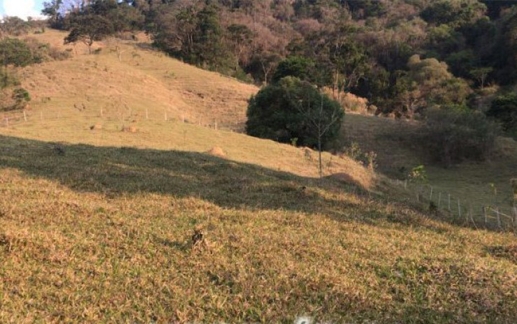 Fazenda com pastagem, curral. lago de peixes. muita água. Itapeva MG | código 608