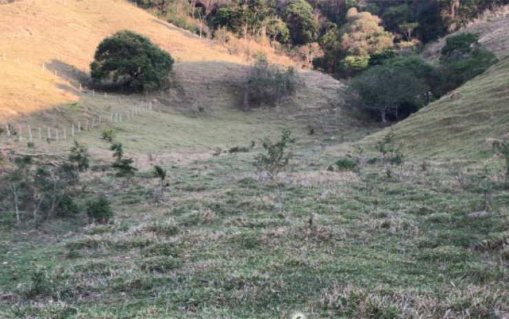 Fazenda com pastagem, curral. lago de peixes. muita água. Itapeva MG | código 608