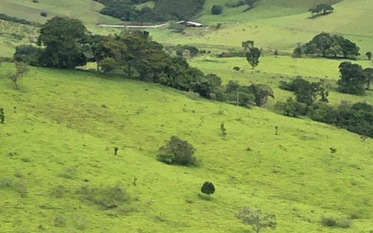 Fazenda com  muita água de nascente, rio nos fundos. Sul de Minas | código 609