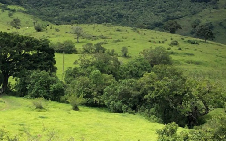 Fazenda com  muita água de nascente, rio nos fundos. Sul de Minas | código 609