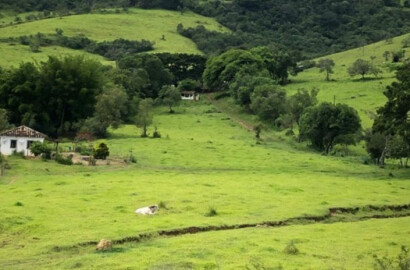 Fazenda com  muita água de nascente, rio nos fundos. Sul de Minas | código 609