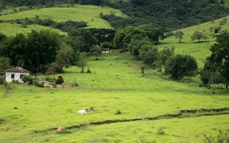 Fazenda com  muita água de nascente, rio nos fundos. Sul de Minas | código 609