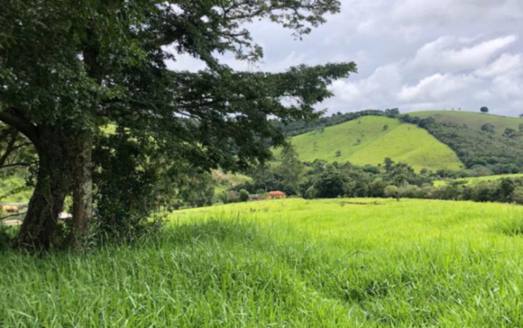 Fazenda com  muita água de nascente, rio nos fundos. Sul de Minas | código 609