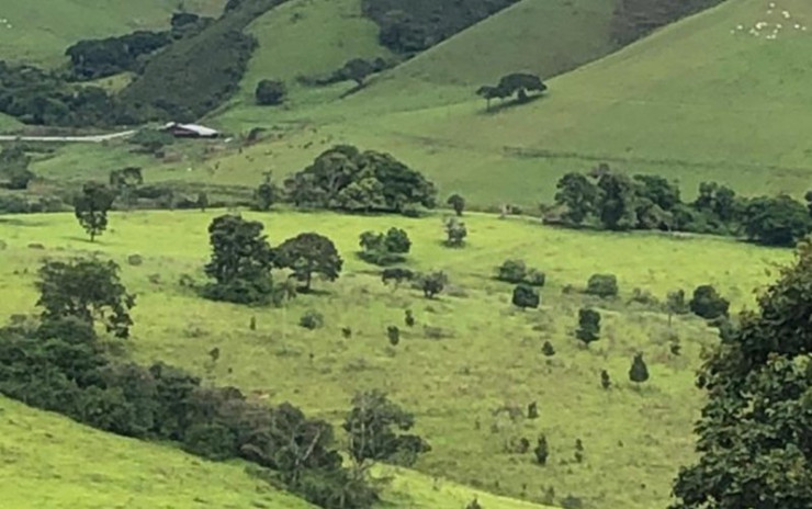 Fazenda com  muita água de nascente, rio nos fundos. Sul de Minas | código 609