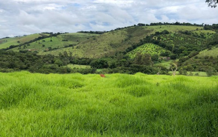 Fazenda com  muita água de nascente, rio nos fundos. Sul de Minas | código 609