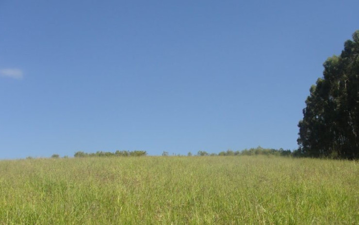 Chácara com boa topografia, boa chegada, 2Km da cidade. | Toledo MG | código 619