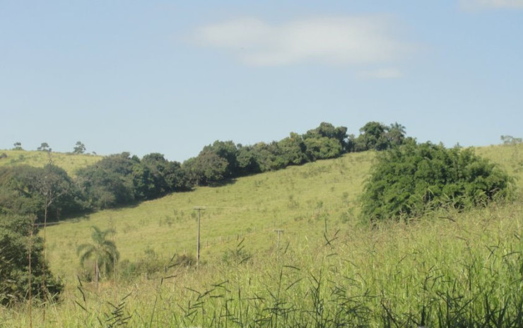 Chácara com boa topografia, boa chegada, 2Km da cidade. | Toledo MG | código 619