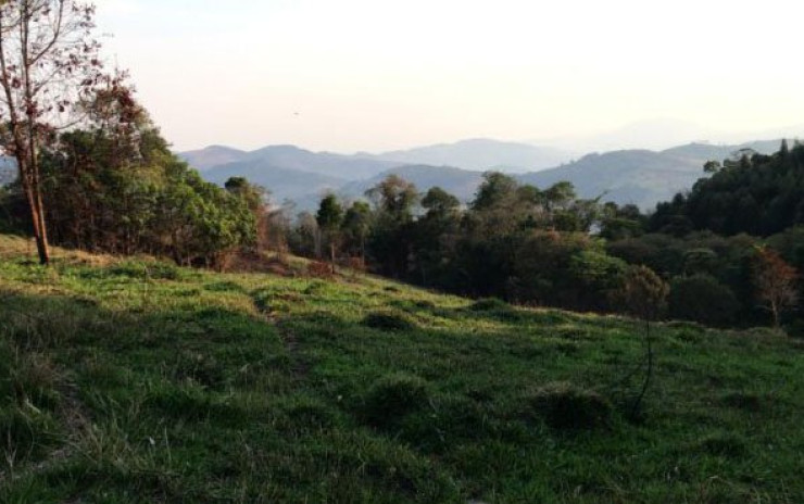 Sítio só terreno com nascente, linda vista panorâmica | Toledo MG | código 648