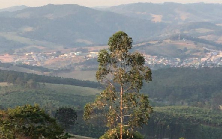 Sítio só terreno com nascente, linda vista panorâmica | Toledo MG | código 648