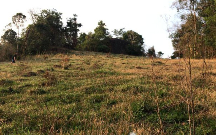 Sítio só terreno com nascente, linda vista panorâmica | Toledo MG | código 648