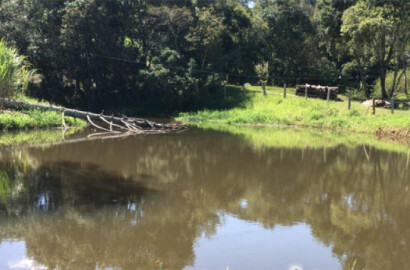 Sítio com: nascente, lago grande, córrego; 2 km do asfalto | Itapeva - MG | código 711