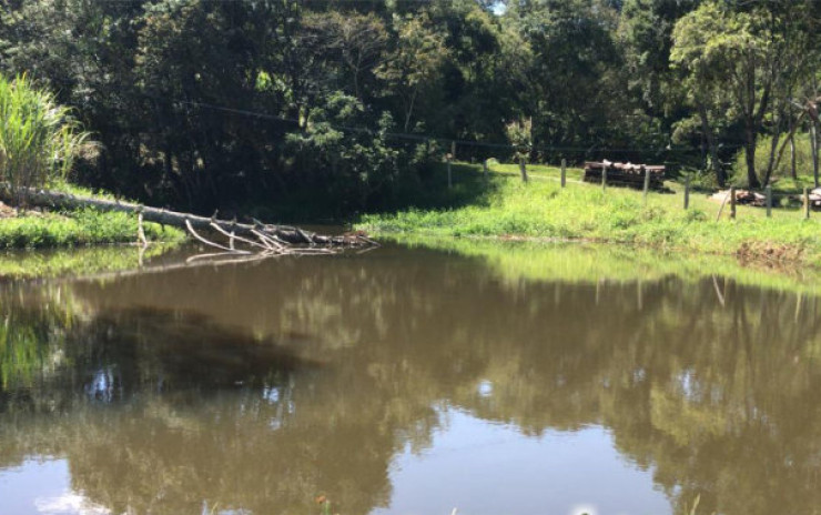 Sítio com: nascente, lago grande, córrego; 2 km do asfalto | Itapeva - MG | código 711