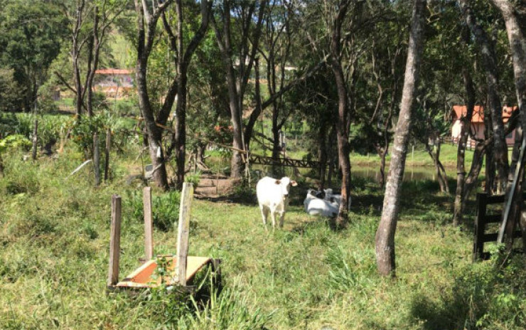 Sítio com: nascente, lago grande, córrego; 2 km do asfalto | Itapeva - MG | código 711