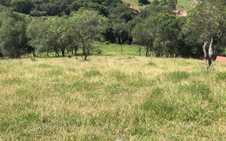 Sítio com: nascente, lago grande, córrego; 2 km do asfalto | Itapeva - MG | código 711