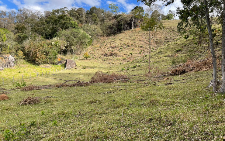 Terreno com riacho no fundo, linda vista panorâmica. | Toledo - MG | código 734